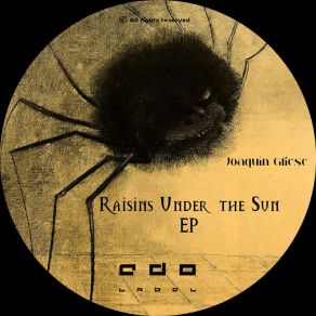 Raisins Under The Sun EP (Original Mix) album cover
