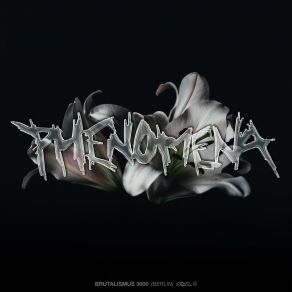 Phenomena (Single) album cover