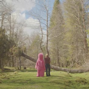 Pink Friend album cover