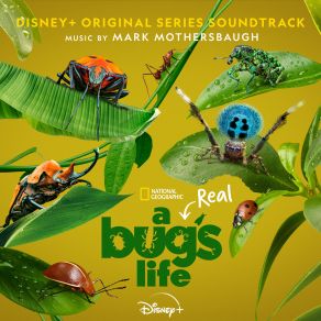 A Real Bug's Life (Original Series Soundtrack) album cover