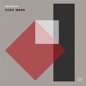 Cosy Mess album cover
