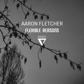 Flexible Reasons album cover