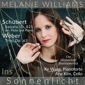 Ins Sonnenlicht album cover