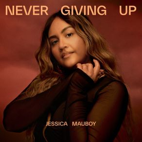 Never Giving Up (Maxi-Single) album cover