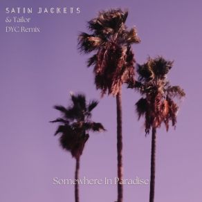 Somewhere In Paradise (DYC Remix) album cover