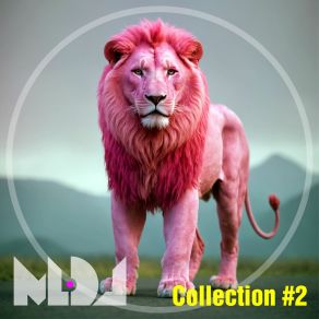 Collection # 2 album cover
