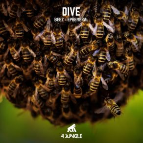 Beez / Ephemeral album cover