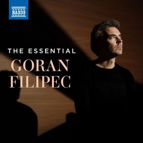 The Essential Goran Filipec album cover