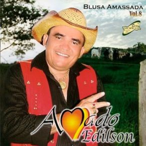 Blusa Amassada Vol. 8 album cover