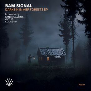 Darksin In Abr Forests album cover