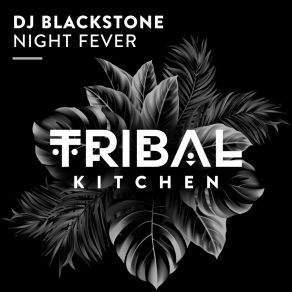 Night Fever album cover