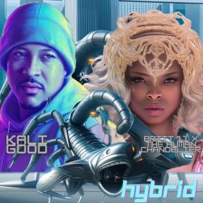 Hybrid album cover