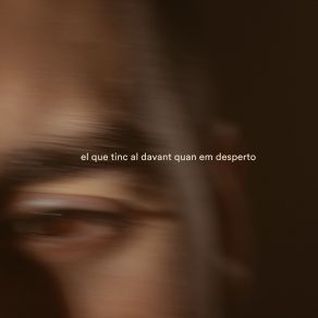 El Que Tinc Al Davant Quan Em Desperto album cover