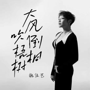 大风吹倒梧桐树 (DJ天天版) album cover