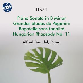 Liszt: Piano Works album cover