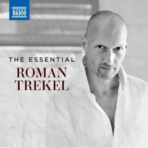The Essential Roman Trekel album cover