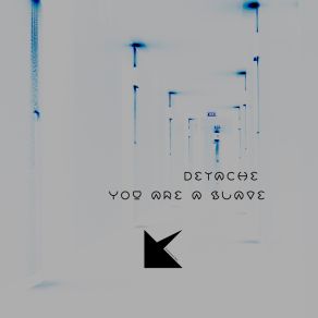You Are A Slave album cover