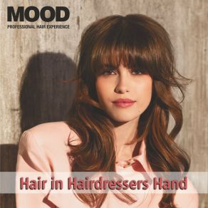 Hair In Hairdressers Hand (Mood) album cover