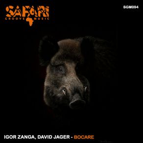 Bocare album cover