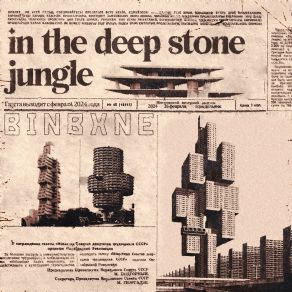 In The Deep Stone Jungle album cover