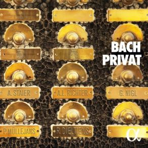 Andreas Staier, Anna Lucia Richter, Petra Müllejans, Roel Dieltiens - Bach Privat album cover