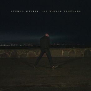 De Sidste Elskende album cover