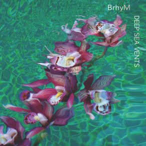 Deep Sea Vents album cover