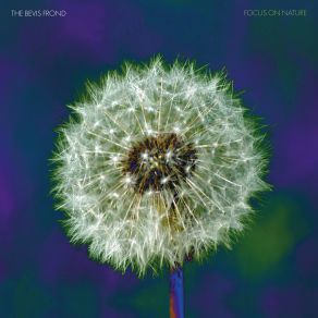 Focus On Nature album cover