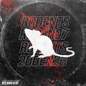 R 07 album cover