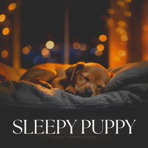Sleepy Puppy album cover