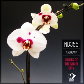 Lights Of The Night City (Original Mix) album cover