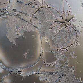 These Little Deities Inside album cover
