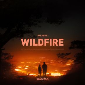 Wildfire album cover