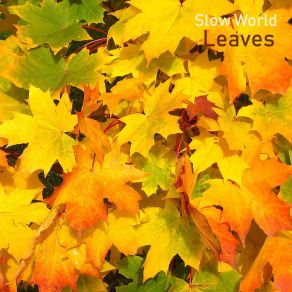Leaves album cover