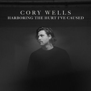 Harboring The Hurt I've Caused album cover