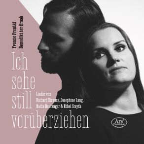Ich Sehe Still Vorüberziehen album cover