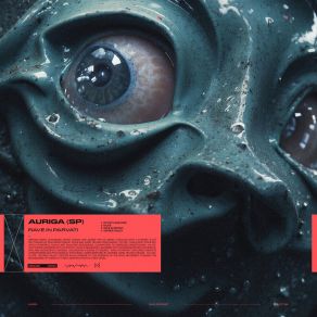 Rave In Parvati album cover