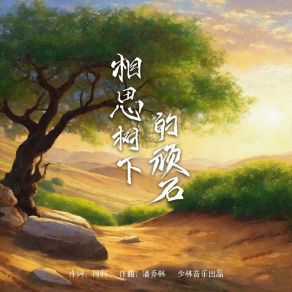 相思树下的顽石 album cover