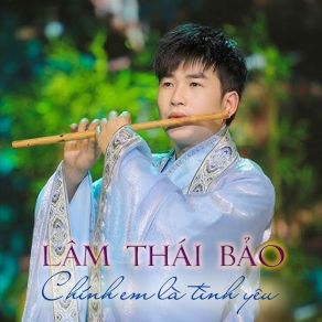 Chính Em Là Tình Yêu album cover