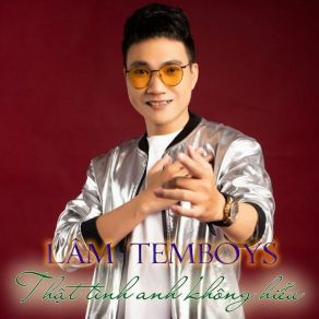 Thật Tình Anh Không Hiểu album cover