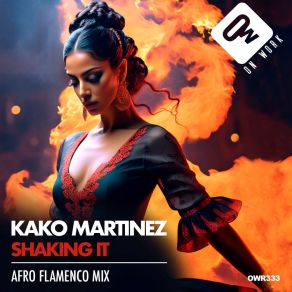 Shaking It (Afro Flamenco Mix) album cover