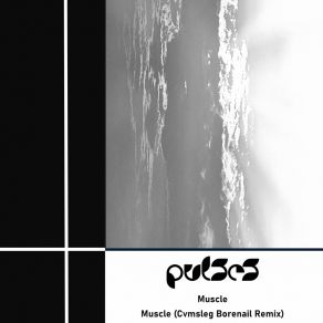 Muscle album cover