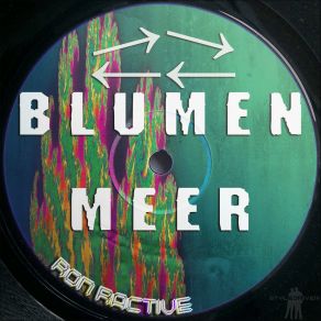 Blumenmeer album cover
