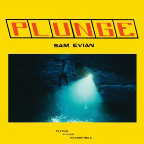Plunge album cover