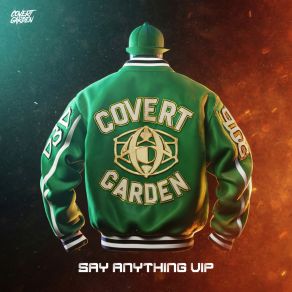 Say Anything Vip album cover