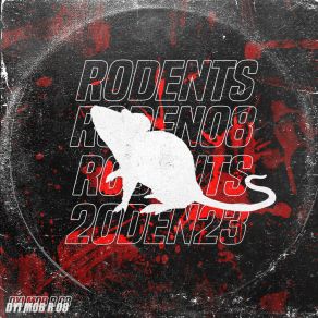 R 08 album cover