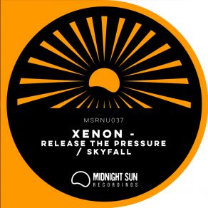 Skyfall / Release The Pressure album cover