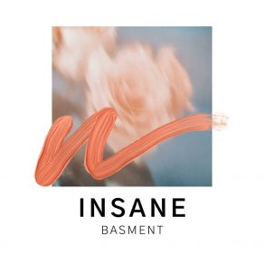 Insane album cover