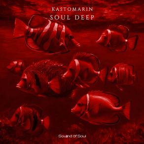 Soul De album cover