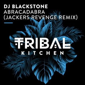 Abracadabra (Jackers Revenge Remix) album cover